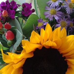 Meet your Posher, Angie